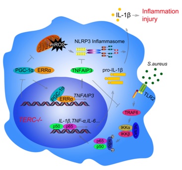 无标题.jpg 无标题.jpg