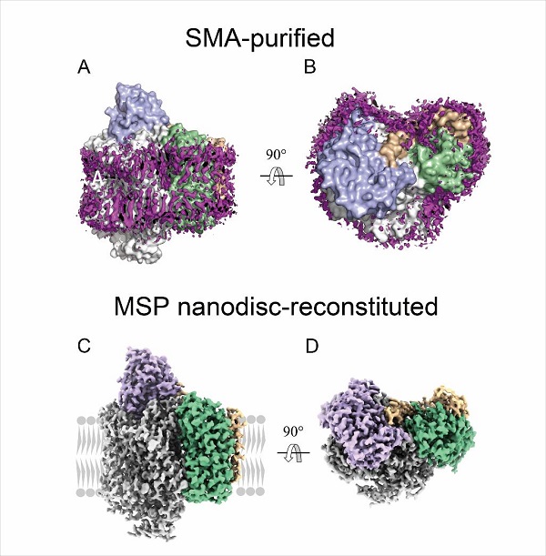 图片1-1.jpg 图片1-1.jpg